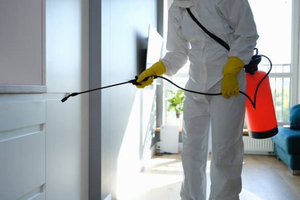 Best Residential Mold Remediation in Wesley Chapel, FL